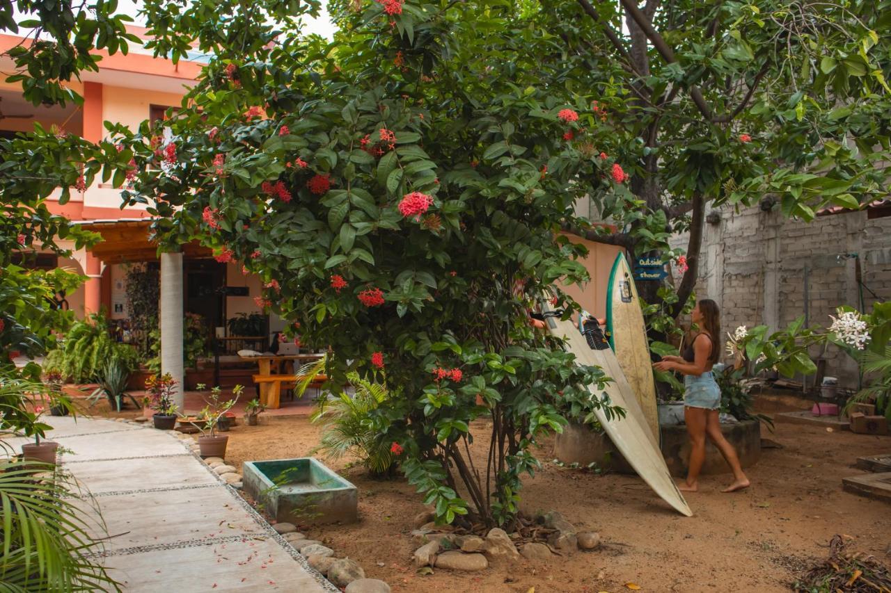 La Casona Hostel Puerto Escondido  Ngoại thất bức ảnh